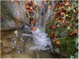 Beli Potok at Frankolovo - Waterfall Lindek